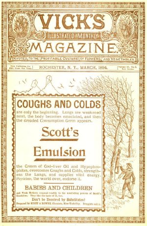 [Gutenberg 63196] • Vick's Illustrated Monthly Magazine, Volume 17, No. 5, March, 1894